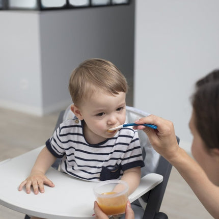 Babymoov Opbergbakjes Kit L 250Ml 6st koop je bij Babywinkel