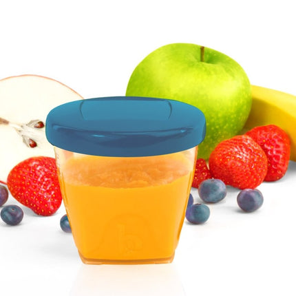 Babymoov Opbergbakjes Kit L 250Ml 6st koop je bij Babywinkel