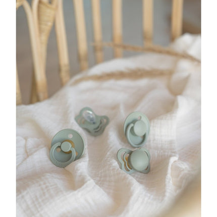 BIBS Speen Maat 1 Testpakket Sage koop je bij Babywinkel