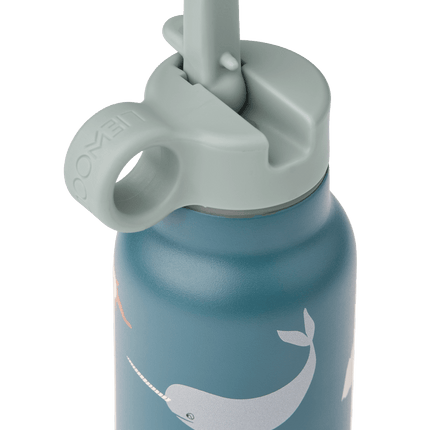 Liewood Waterfles Falk 350Ml Arctic Sea/Ocean View koop je bij Babywinkel