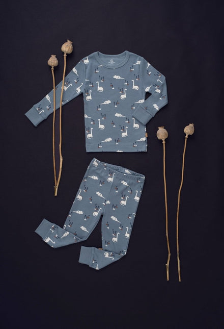 Fresk Baby Pyjama Dino 2 - delig koop je bij Babywinkel