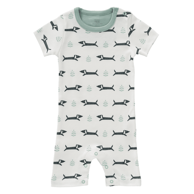 Fresk Boxpakje Dachsy koop je bij Babywinkel