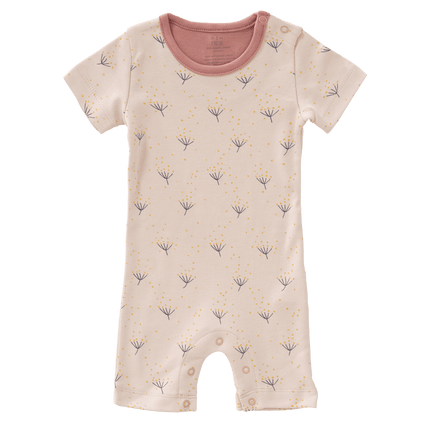 Fresk Boxpakje Dandelion koop je bij Babywinkel
