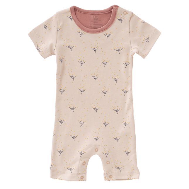 Fresk Boxpakje Dandelion koop je bij Babywinkel