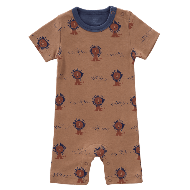 Fresk Boxpakje Lion koop je bij Babywinkel