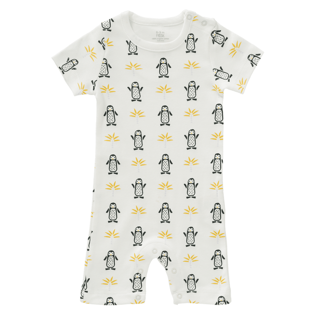 Fresk Boxpakje Pinguin koop je bij Babywinkel