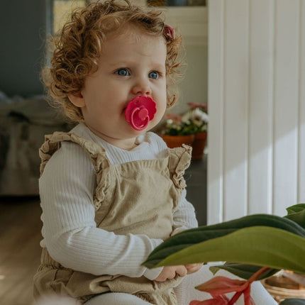 Frigg Speen Maat 1 Daisy Soft Lilac/Fuchsia Silicone 2 - Pack koop je bij Babywinkel