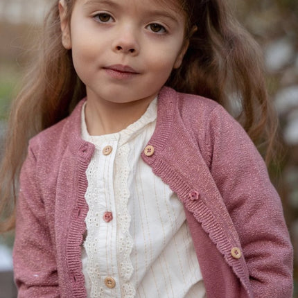 Little Dutch Baby Vestje Gebreid Rouge koop je bij Babywinkel