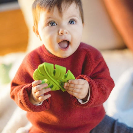 Lanco Bijtring Palmblad koop je bij Babywinkel