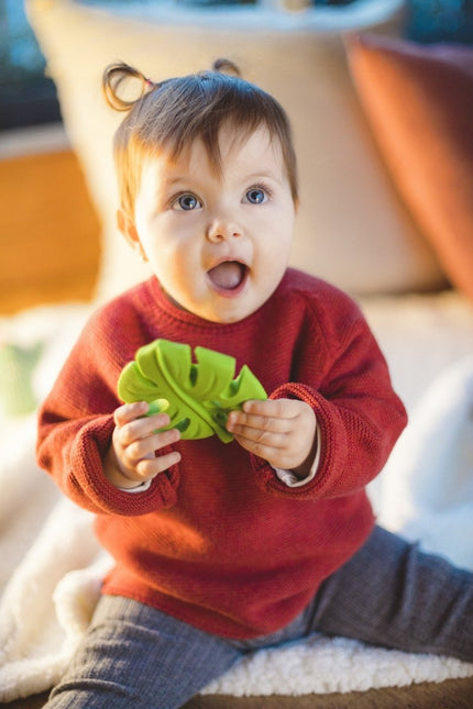 Lanco Bijtring Palmblad koop je bij Babywinkel