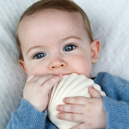 Lanco Bijtring Schelp Plat koop je bij Babywinkel