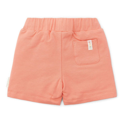 Little Dutch Baby Broekje Kort Little Farmer Red koop je bij Babywinkel