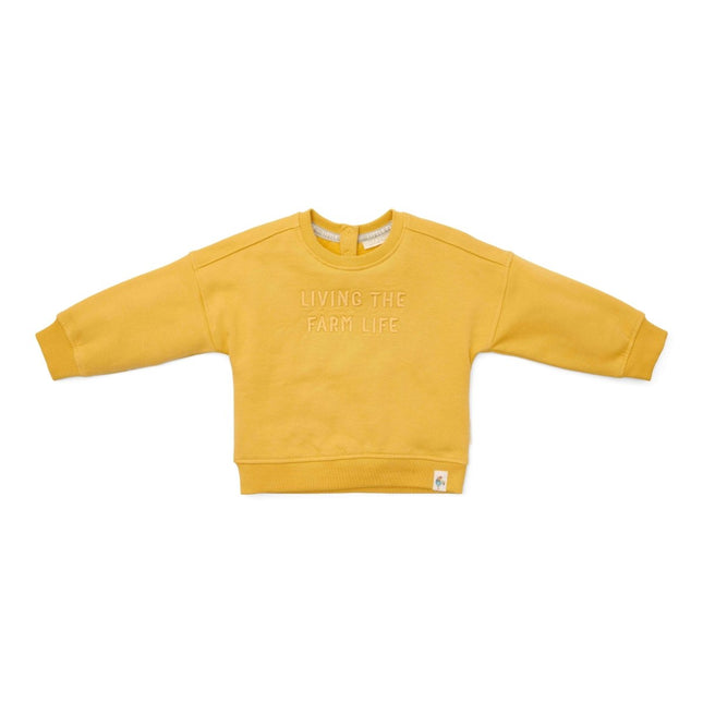 Little Dutch Baby Sweater Mustard Yellow koop je bij Babywinkel