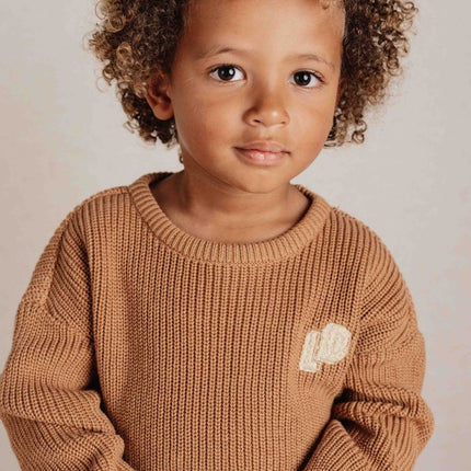 Little Dutch Baby Trui Gebreid Brown koop je bij Babywinkel