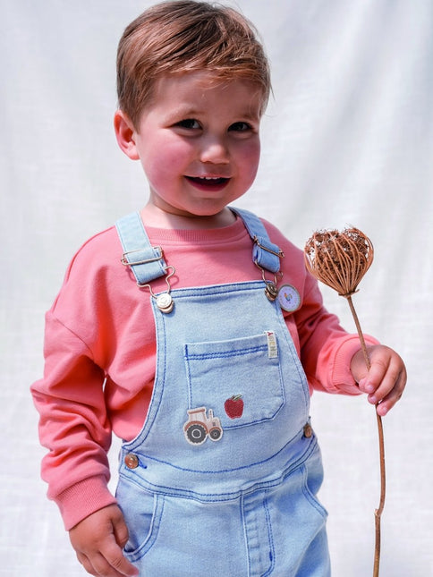Little Dutch Baby Trui Little Farmer Red koop je bij Babywinkel