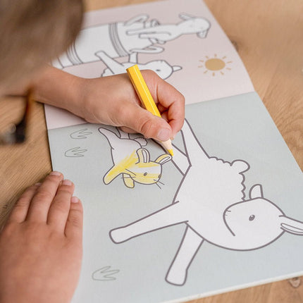 Little Dutch Kleurboek Little Farm koop je bij Babywinkel