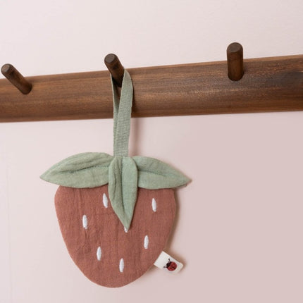 Little Dutch Speendoekje Aardbei koop je bij Babywinkel