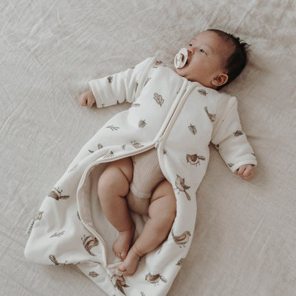 Meyco Baby Robin Baby Slaapzak Met Afritsbare Mouwen Multicolour koop je bij Babywinkel