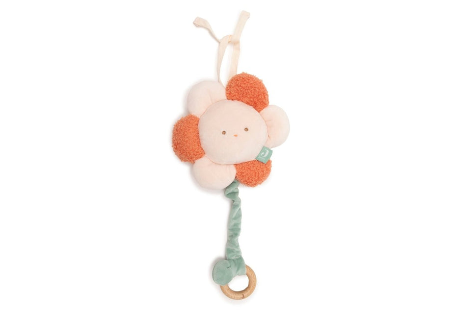 Muziekhanger - Pretty Picnic koop je bij Babywinkel