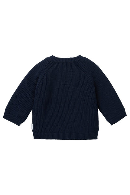 Noppies Baby Trui Nevers Black Iris koop je bij Babywinkel