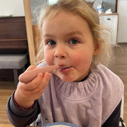 Silly Billyz Slabbetje Large Lavender koop je bij Babywinkel