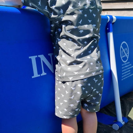 Slipstop Zwembroekje Dino Green koop je bij Babywinkel