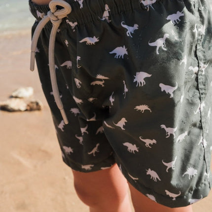 Slipstop Zwembroekje Dino Green Kort koop je bij Babywinkel