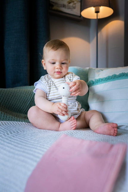 Sophie de Giraf Rammelaar Bijt koop je bij Babywinkel