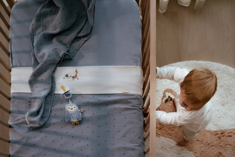 Little Dutch Speendoekje Uil Forest Friends koop je bij Babywinkel