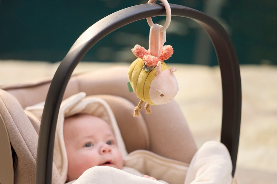 Wagenhanger - Pretty Picnic koop je bij Babywinkel