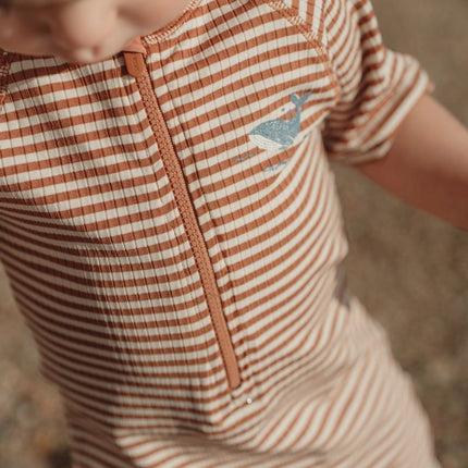 Zwempak korte mouwen Ocean Brown Stripes koop je bij Babywinkel