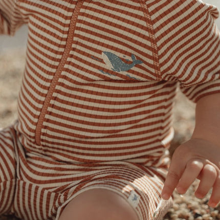 Zwempak korte mouwen Ocean Brown Stripes koop je bij Babywinkel